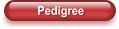 Pedigree
