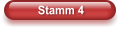 Stamm 4