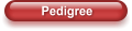 Pedigree
