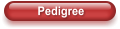 Pedigree