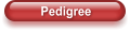 Pedigree